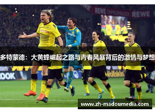多特蒙德：大黄蜂崛起之路与青春风暴背后的激情与梦想