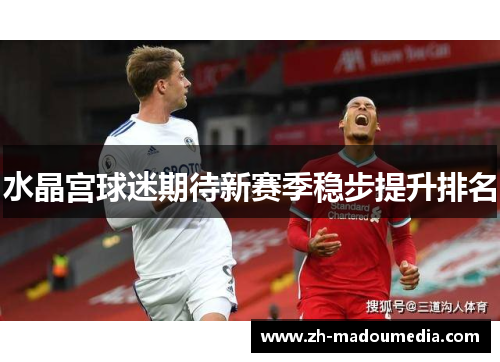 水晶宫球迷期待新赛季稳步提升排名