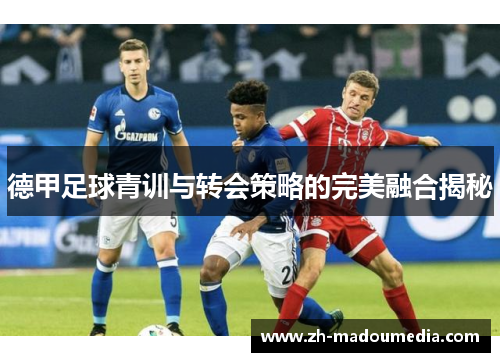德甲足球青训与转会策略的完美融合揭秘 德甲足球青训与转会策略的完美融合揭秘